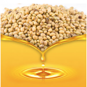 [:en]soybean oil[:]