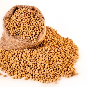 [:en]soybeans-2039641_640[:]